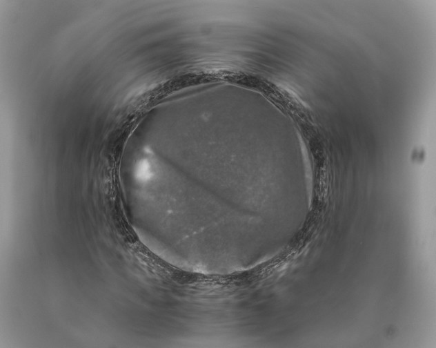 X0000089920917200707201815