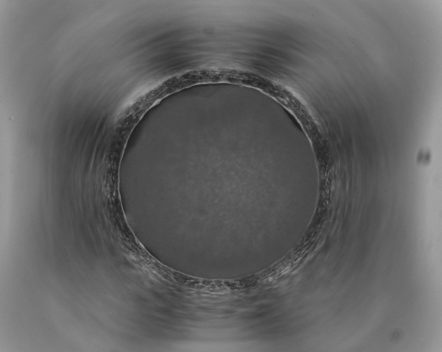 X0000089920919200707201815