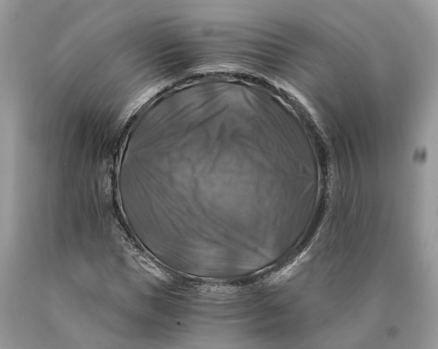 X0000089920921200707201815