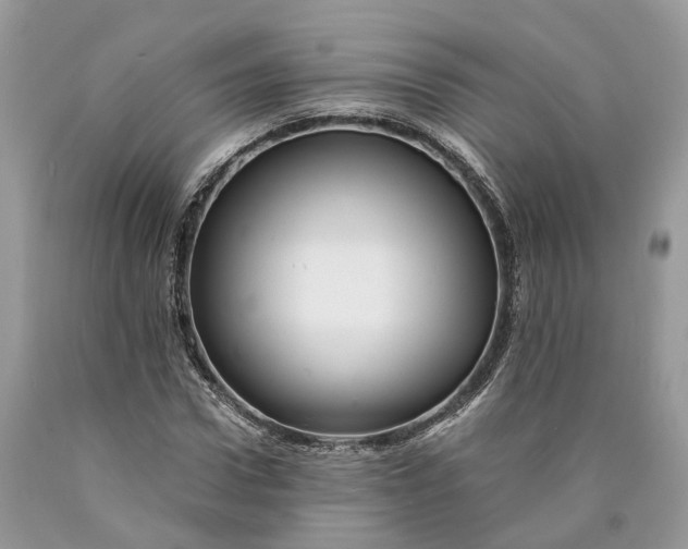 X0000089920922200707201815