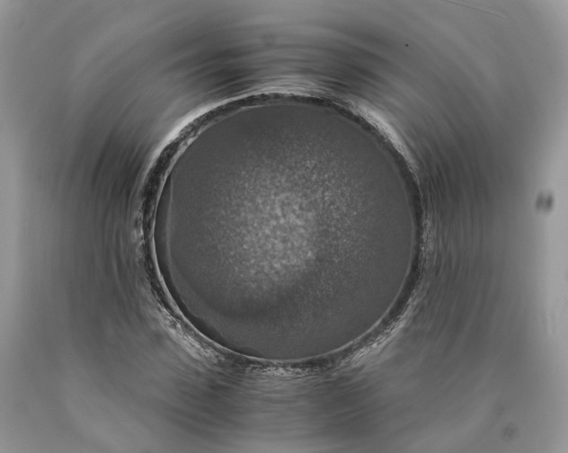 X0000089920923200707201815