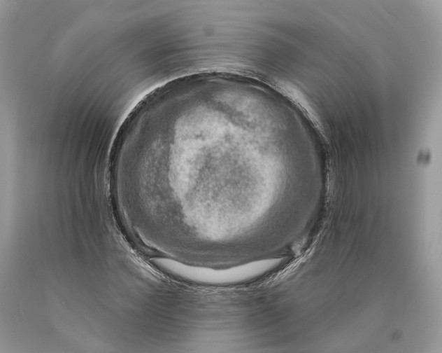 X0000089920924200707201815