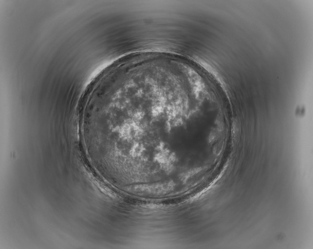 X0000089920925200707201815