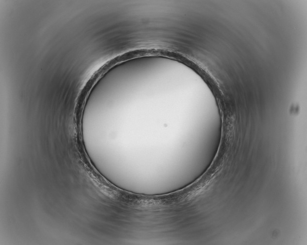 X0000089920927200707201815