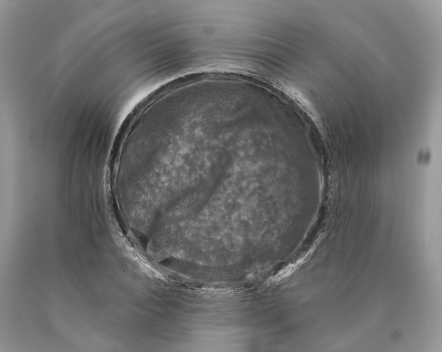 X0000089920928200707201815