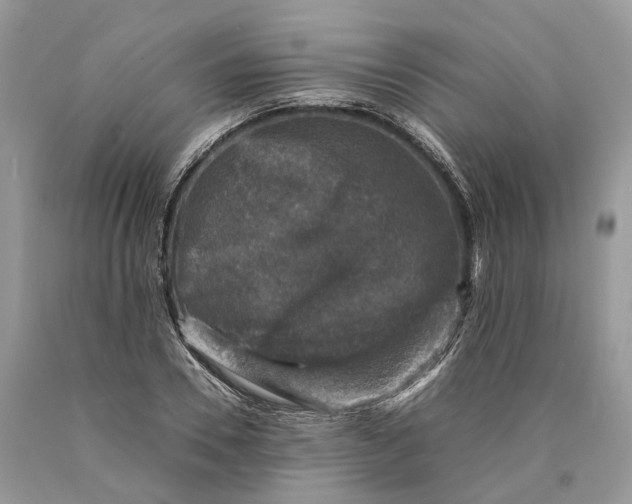 X0000089920930200707201815