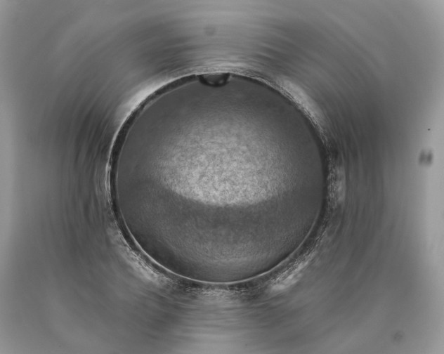 X0000089920932200707201815