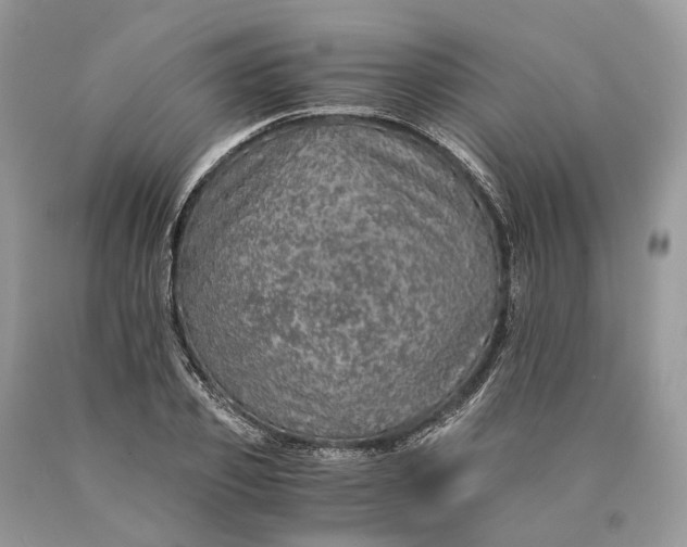 X0000089920933200707201815