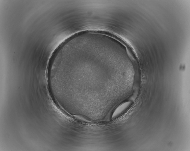 X0000089920935200707201815