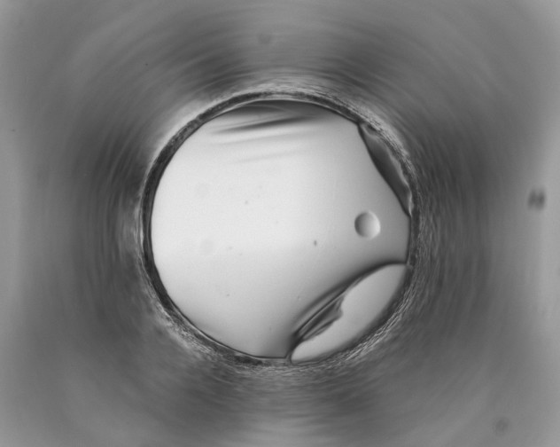 X0000089920936200707201815