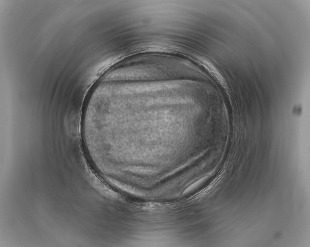 X0000089920938200707201815