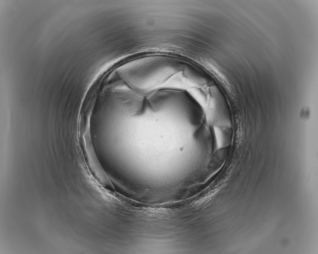 X0000089920940200707201815