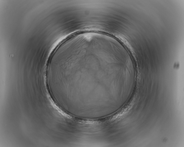 X0000089920941200707201815