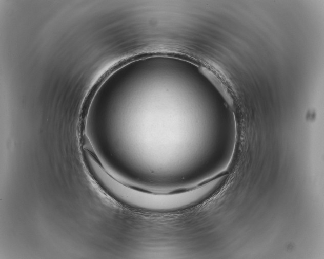 X0000089920942200707201815