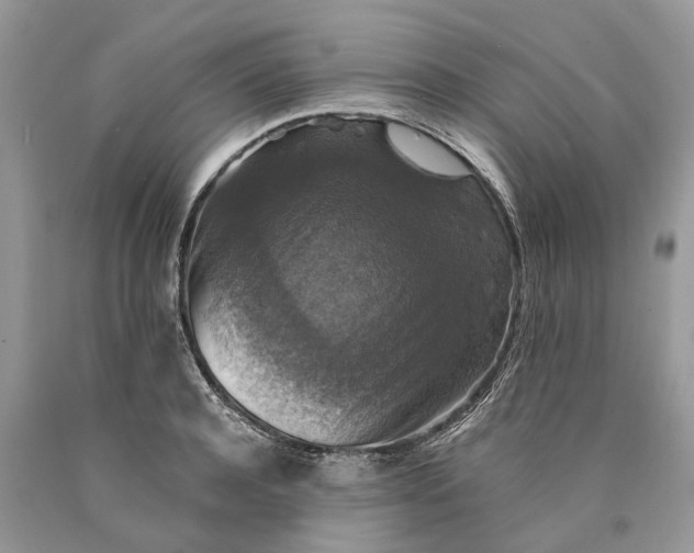 X0000089920944200707201815