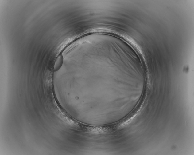 X0000089920945200707201815