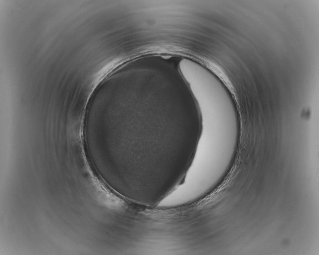 X0000089920946200707201815