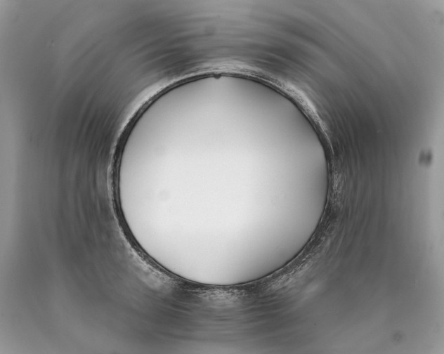 X0000089920947200707201815