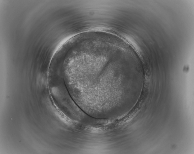 X0000089920948200707201815