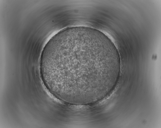 X0000089920949200707201815