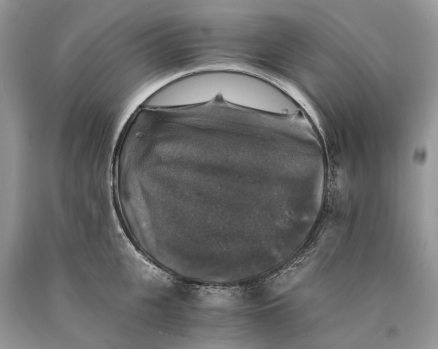 X0000089920951200707201815