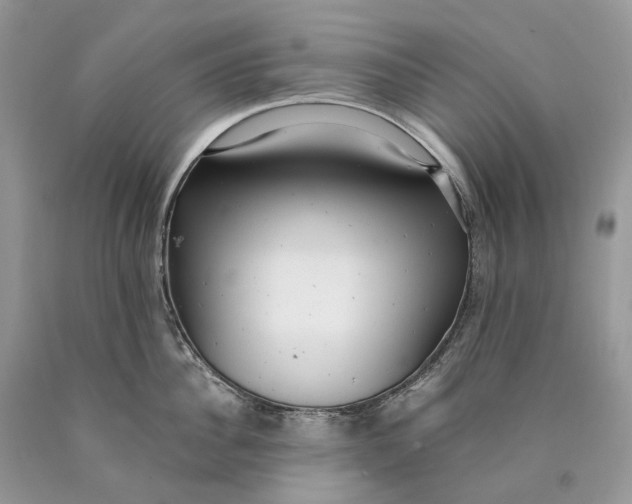 X0000089920956200707201815