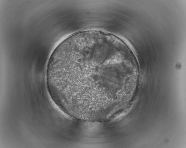 X0000089920957200707201815