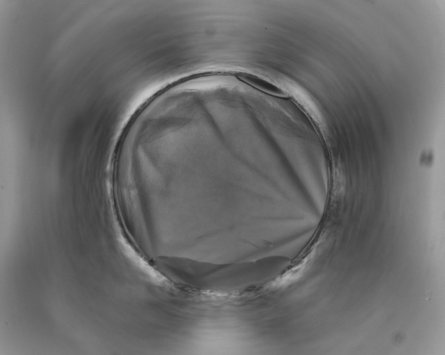 X0000089920958200707201815