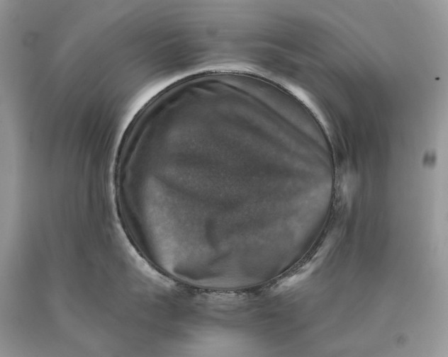 X0000089920959200707201815