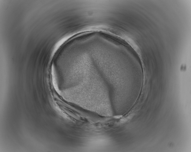 X0000089920960200707201815