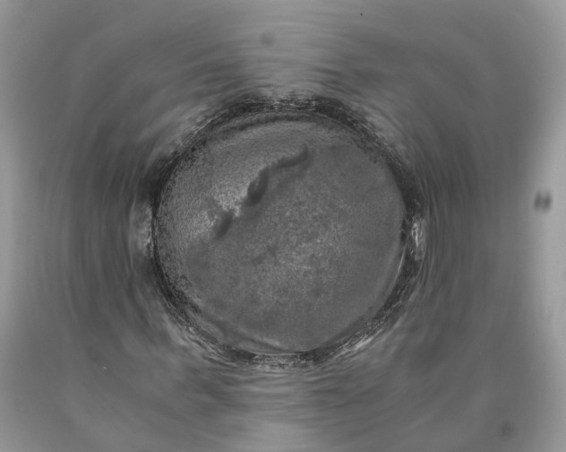 X0000089920963200707201815