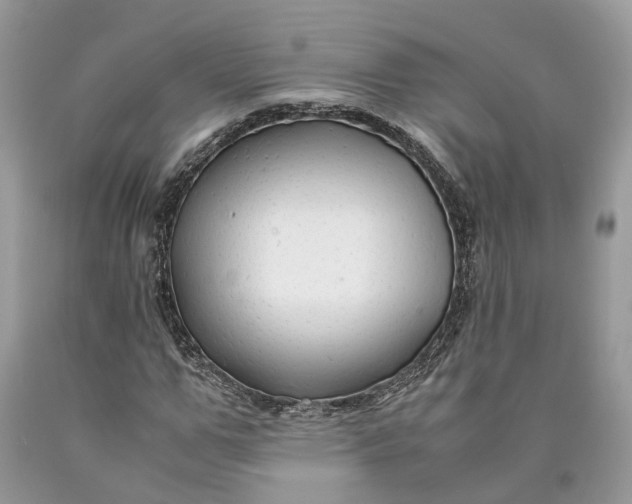 X0000089920967200707201815