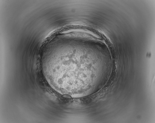 X0000089920968200707201815