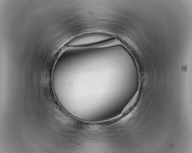 X0000089920969200707201814