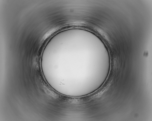 X0000089920970200707201814