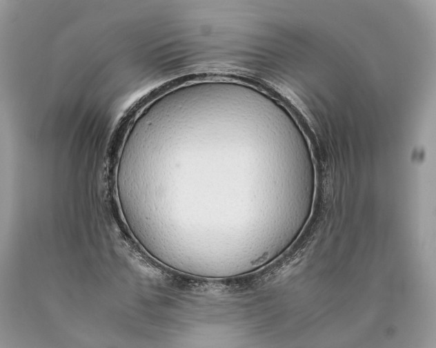 X0000089920971200707201814