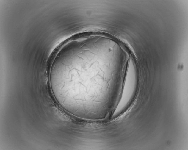 X0000089920973200707201814
