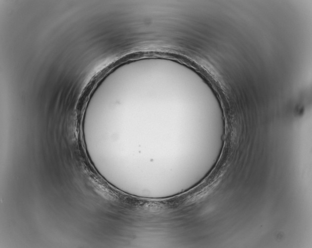 X0000089920974200707201814