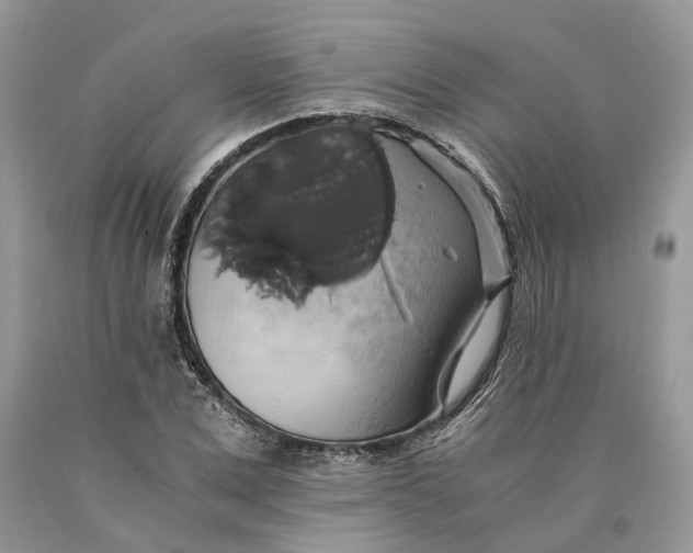 X0000089920975200707201814