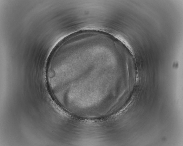 X0000089920976200707201814