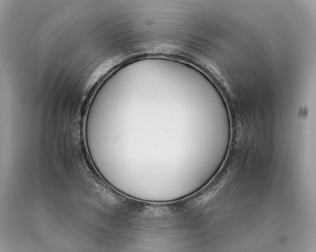 X0000089920978200707201814