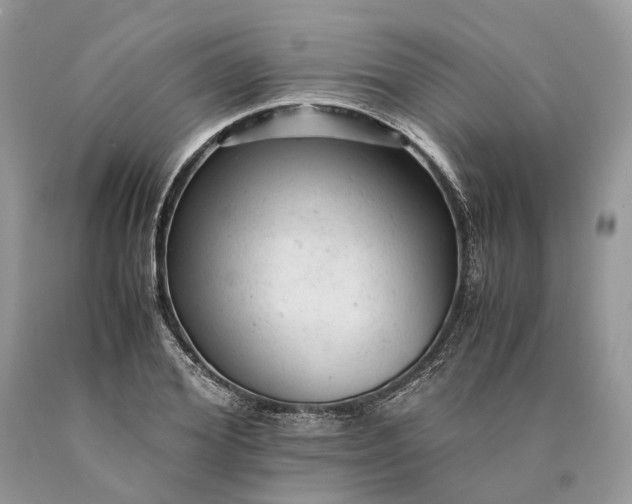 X0000089920980200707201814