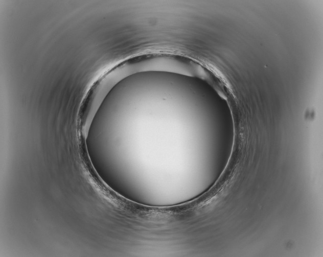 X0000089920981200707201814