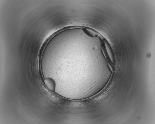 X0000089920982200707201814