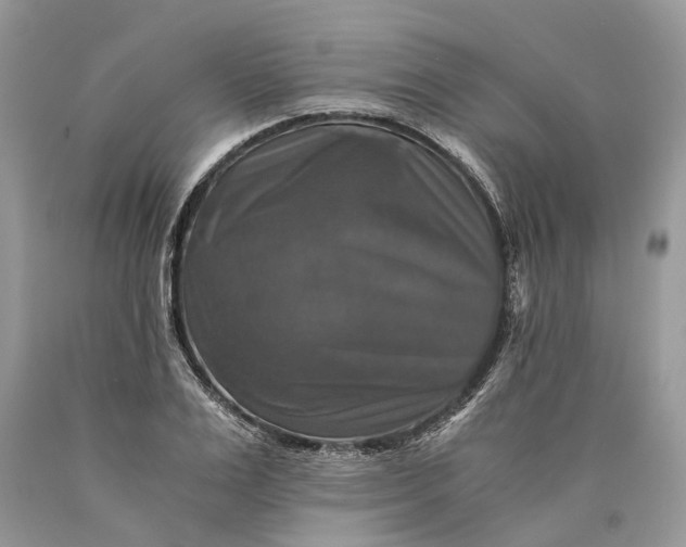 X0000089920983200707201814