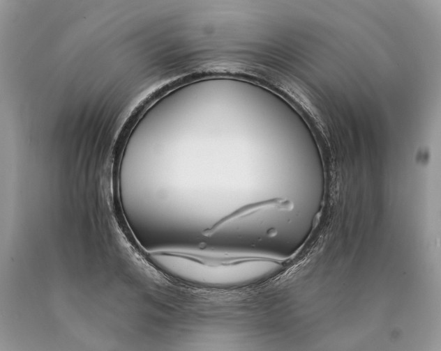 X0000089920984200707201814