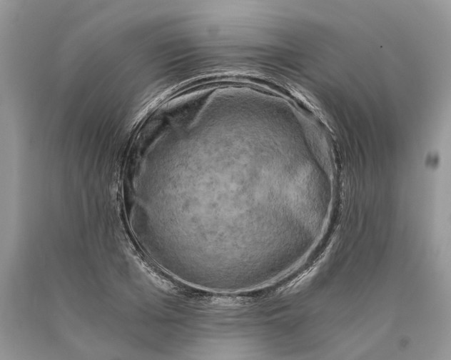 X0000089920985200707201814