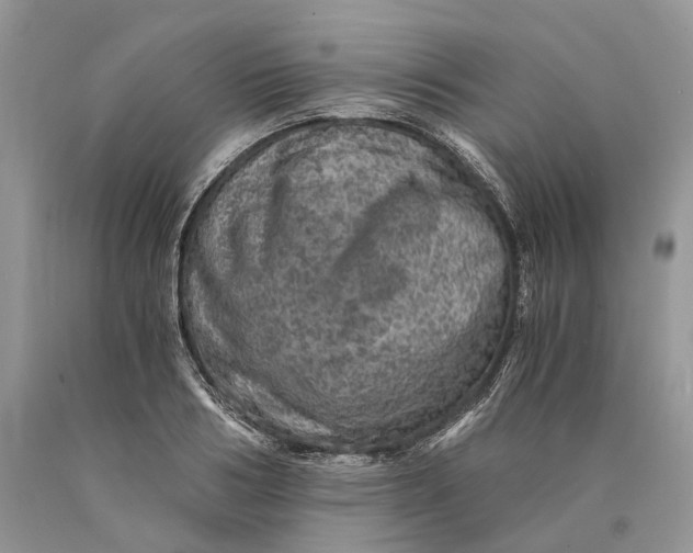 X0000089920986200707201814