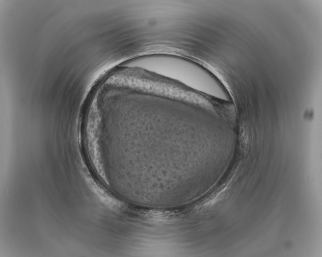 X0000089920987200707201814