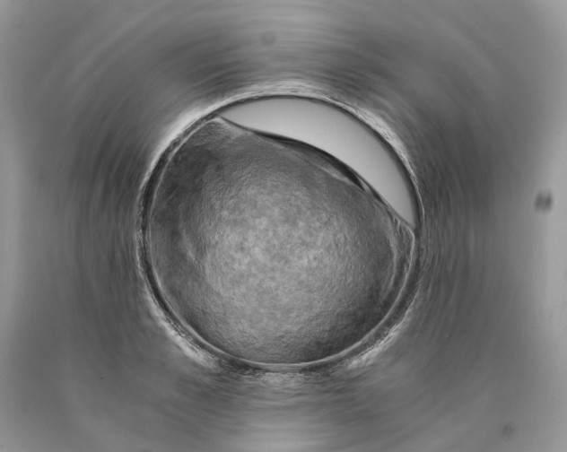 X0000089920989200707201814
